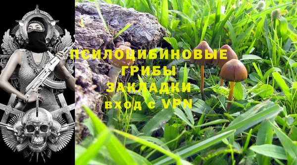 ALPHA-PVP Бикин