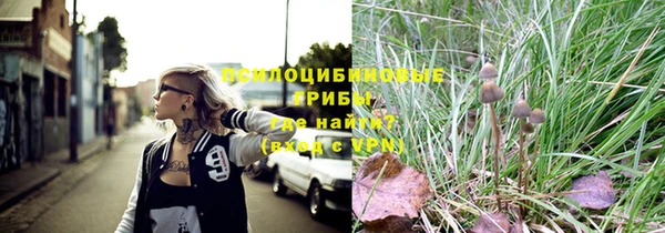 a pvp Бородино