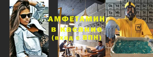 шишки Бронницы