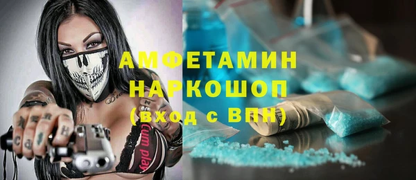 шишки Бронницы