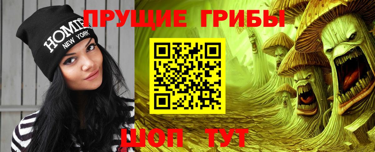 цена наркотик  Псилоцибиновые грибы Magic Shrooms  Видное  Вход с VPN  Псилоцибиновые грибы мицелий 