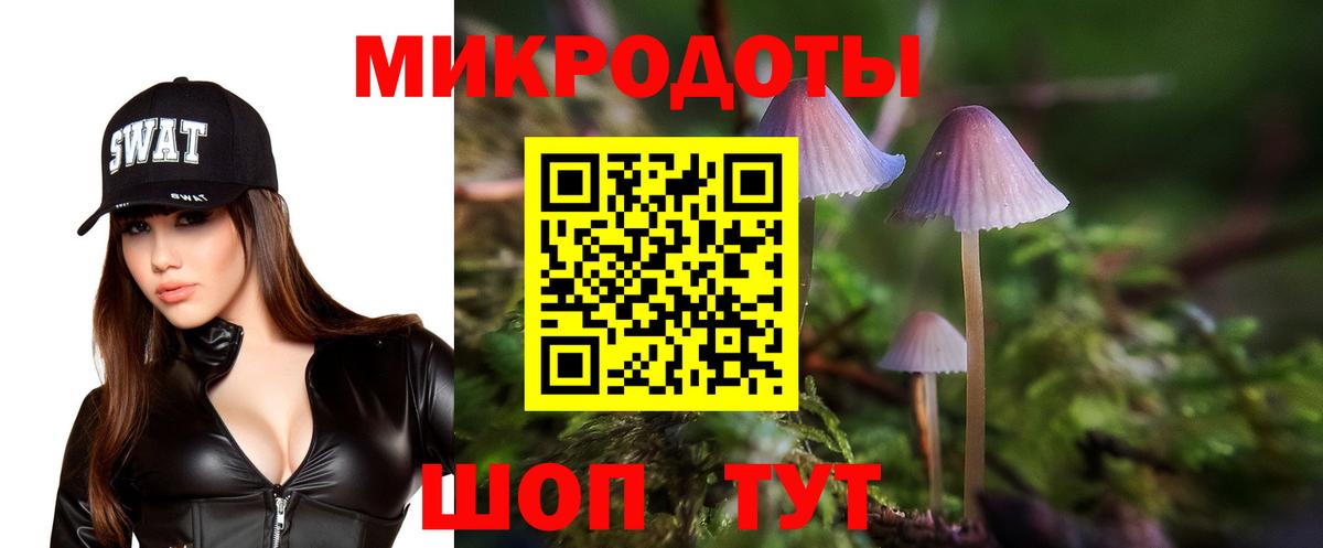 Псилоцибиновые грибы Psilocybine cubensis Видное
